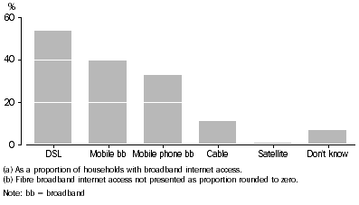 Graph: Households with internet access, by selected types of broadband internet access, 2012–13.