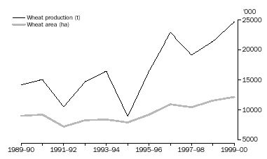 GRAPH - 6.1 WHEAT PRODUCTION AND AREA