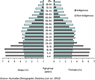 Diagram: AGE POPULATION PYRAMID, By Indigenous status, NSW—2007
