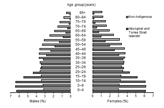 Diagram: Age Pyramid - Aboriginal and Torres Strait Islander and non-Indigenous Populations - 30 June 2006  