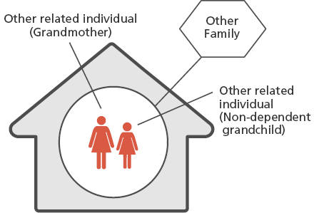 Image: in an 'other family' the other related individual may be a grandmother, and the other related individual may be a non dependent grandchild