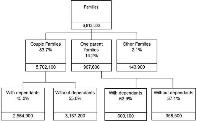 Diagram summarising family types and number of persons in each