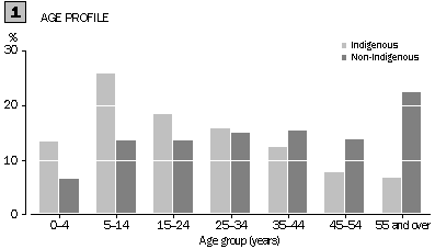 Graph 1 - Age Profile