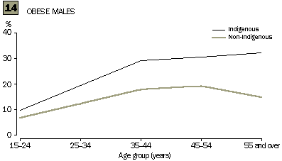 Graph 14 - Obese males