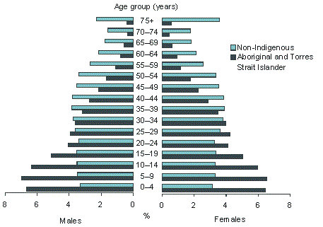 Pyramid graph displaying differences in age distribution of non-Indigenous and Aboriginal and Torres Strait Islander populations. 