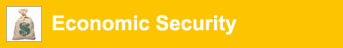 Economic Security domain banner
