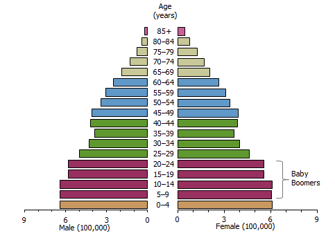 Pyramid graph: Population structure - 1971