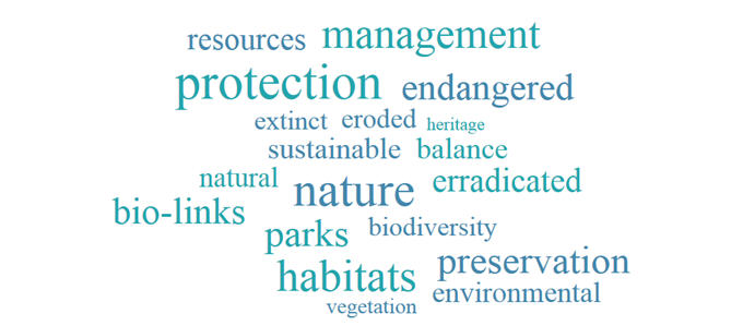Image: Conservation word cloud