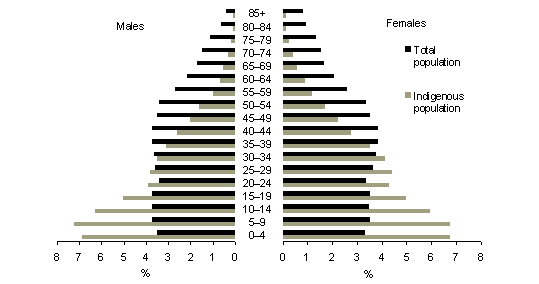 pyramid graph showing indigenous and total populations by age for Queensland 2001.