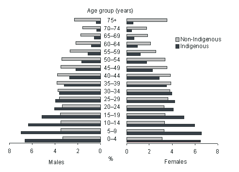 Pyramid graph: Age group (years)