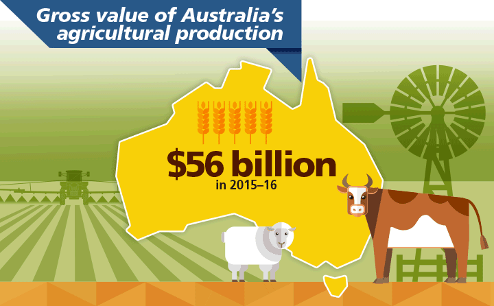 Image: An infographic illustrating the gross value of Australia’s agricultural production. See text below for more information.