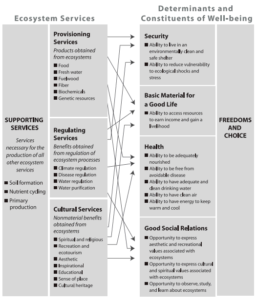 Figure 1: Ecosystem Services and Their Links to Human Well-being