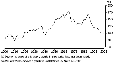 Graph: 16.38 sheep and lambs(a)—1906 to 2006