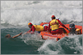 Image: Surf Lifesaving - An Australian icon in transition