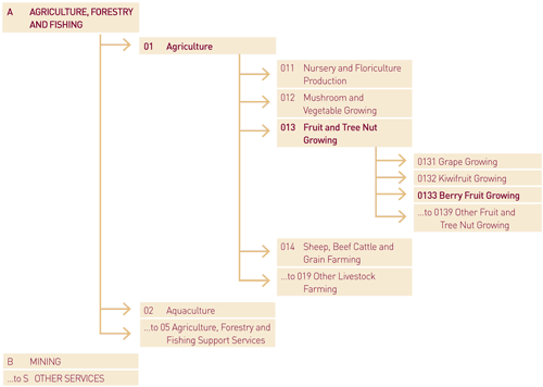 Diagram 7.1: Hierarchical Classification Structure used in ANZSIC 2006