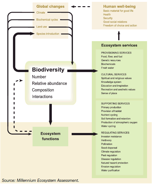 Overview of ecosystem goods and services provided by biodiversity
