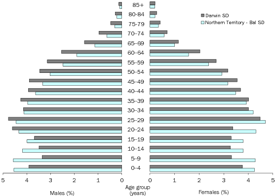 Diagram: AGE AND SEX DISTRIBUTION (%), Northern Territory—30 June 2010