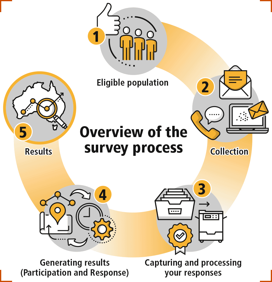 Infographic showing an overview of the survey process. More detail following.