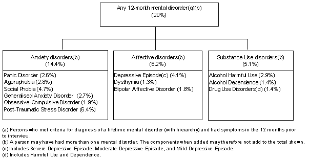 Diagram: CONCEPTUAL FRAMEWORK, 12-month mental disorders