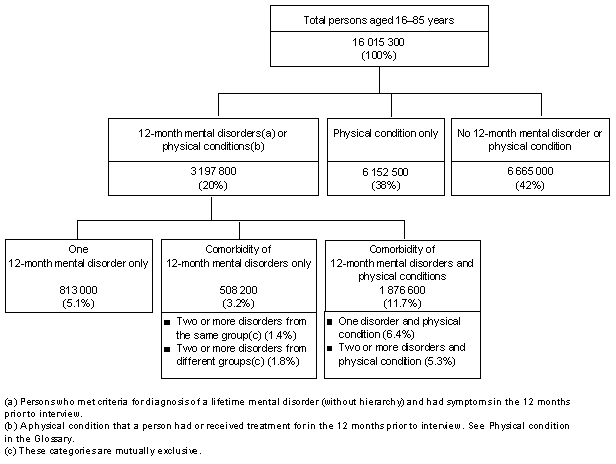 Diagram: CONCEPTUAL FRAMEWORK, Comorbidity