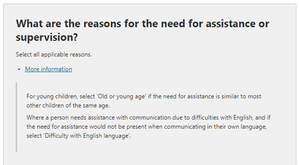 Additional information relating to the question on: What are the reasons for the need for assistance or supervision shown in Questions 24, 25 and 26?