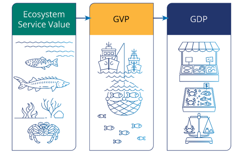 Distinction between ecosystem service value