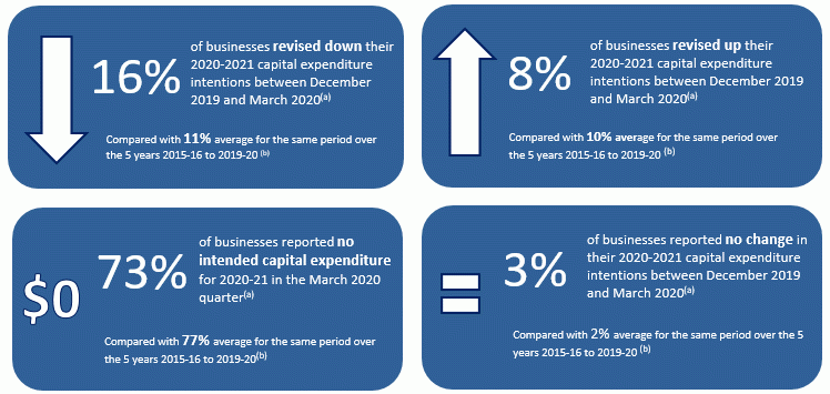 The image presents preliminary information about business capital expenditure intentions for the 2020-2021 financial year in four boxes.