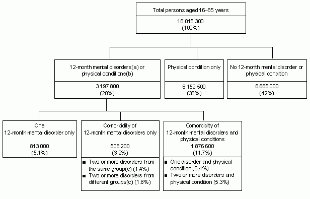 CONCEPTUAL FRAMEWORK, Comorbidity
