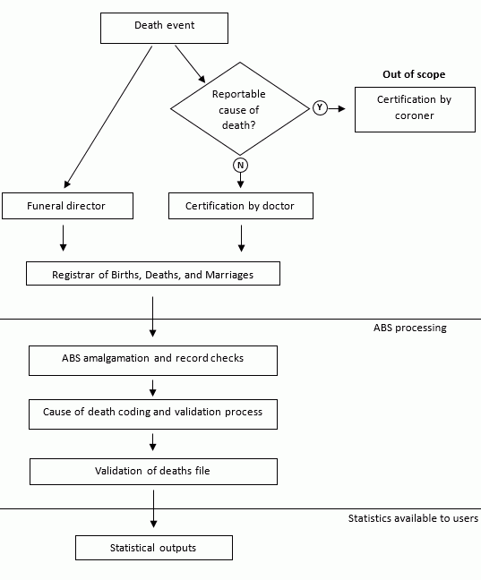 Data flow for doctor certified deaths