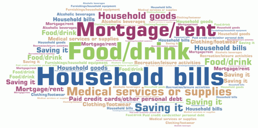 Word cloud image showing stimulus payment uses for persons aged 18 years and over receiving the Coronavirus Supplement