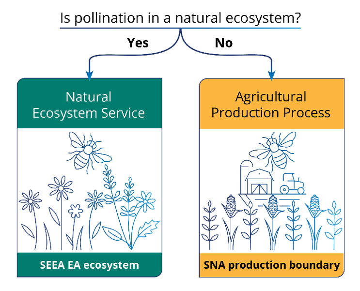 Pollination services & boundary issues image