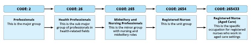 Shows the classification codes, labels and a brief description for registered nurse from the 1 digit (least detailed) to the 6 digit (most detailed) level