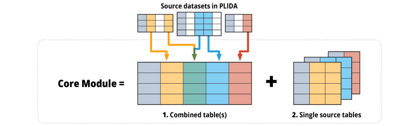 Illustration of PLIDA core module structure: multiple source tables feed into a combined table, which is paired with individual source tables.