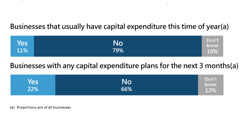Businesses that usually have capital expenditure at this time of year: yes (11%), no (79%) and don't know (10%). Businesses with any capital expenditure plans for the next three months: yes (22%), no (66%) and don't know (12%).