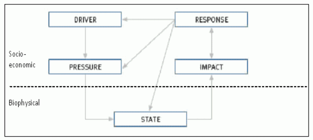 Figure 23.2 The DPSIR framework