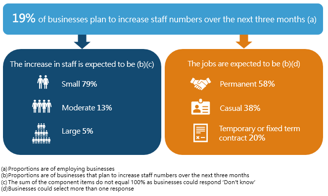 Composition and extent of increase in staff numbers