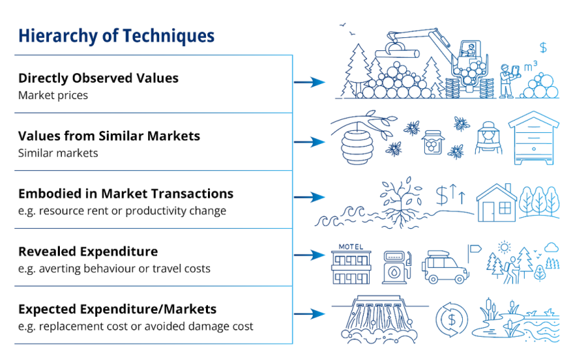 Hierarchy of SEEA EA valuation techniques image