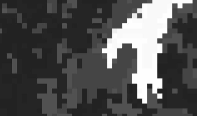 A pixelated image of a white lake besides grey and black land pixels. Update this alt text to fit standards