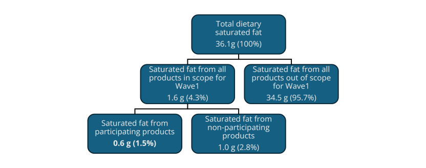 Flowchart illustrating the distribution of total dietary saturated fat into in-scope and participating products.