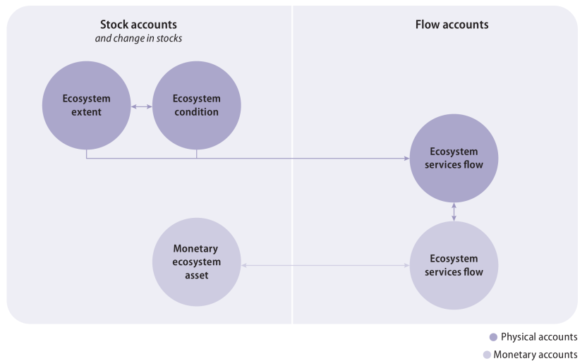 Relationships between ecosystem accounts in the SEEA EA framework