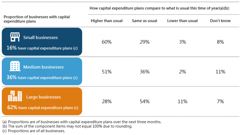 Capital expenditure plans over the next three months