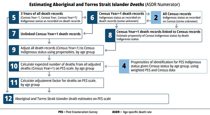 Flow chart of the steps involved in estimating Aboriginal and Torres Strait Islander deaths, which is the numerator of the age-specific death rate (ASDR).