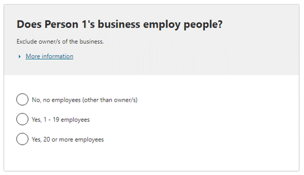 Does the person’s business employ people?