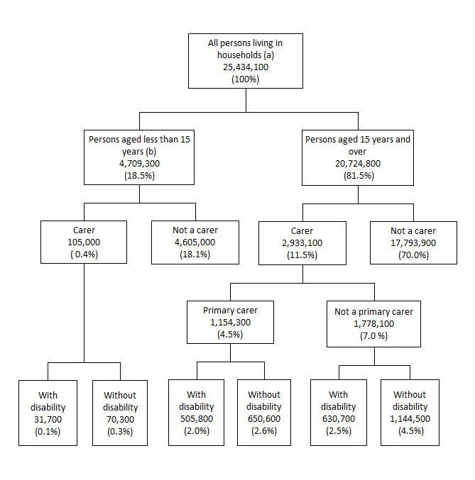 All persons living in households, by carer status, 2022