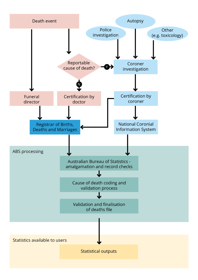 Diagram: Australian causes of death statistics system