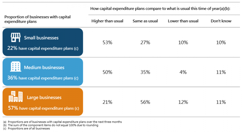 Capital expenditure plans over the next three months, by employment size