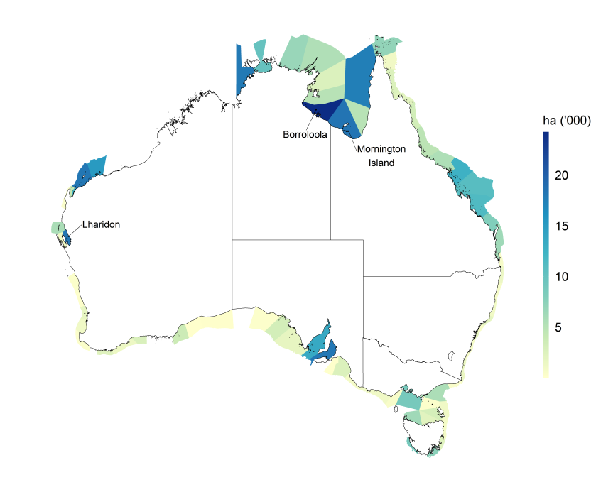 A map of Australia with primary sediment compartments shaded from yellow to green to blue indicating the total hectares of intertidal seagrass. The primary sediment compartments Lharidon (central Western Australian coast), Borroloola (Gulf of Carpentaria, Northern Territory), and Mornington Island (Gulf of Carpentaria, Northern Territory and Queensland) are labelled as they have the largest intertidal seagrass extents. 
