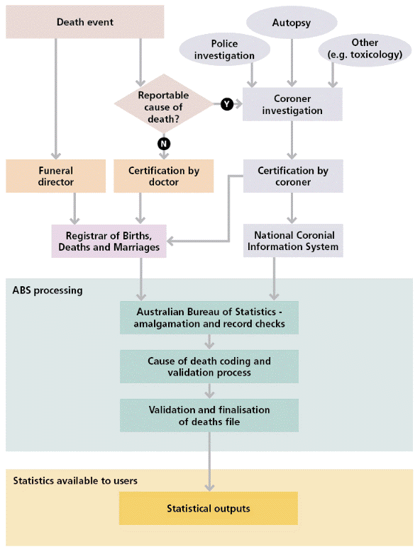 Flow chart showing the process for generating causes of death statistics