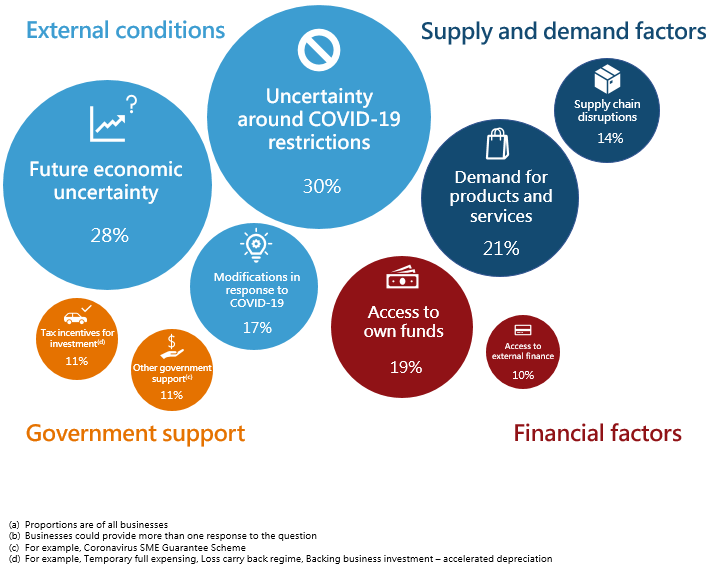 Factors influencing future capital expenditure plans