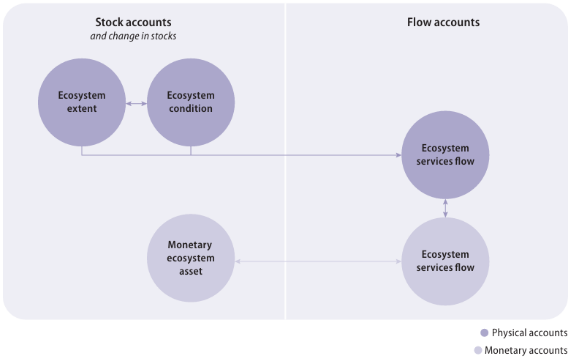 Diagram of the relationships between ecosystem accounts in the SEEA EA framework